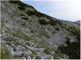 Koprivna (Kumer) - Velika glava (Peca)